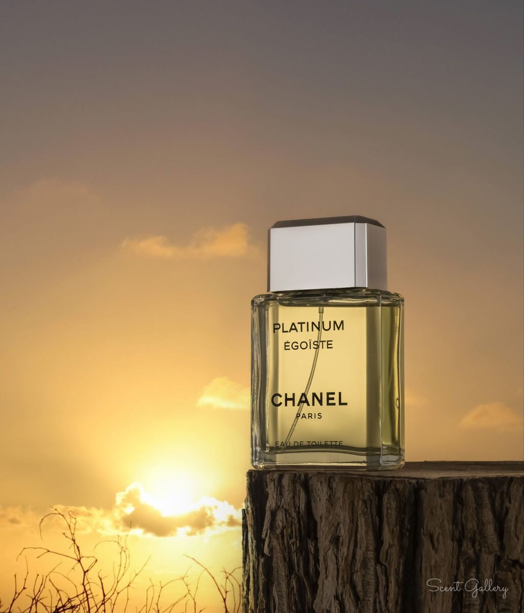 Chanel Platinum Egoiste Pour Homme EDT 100ml (Men)